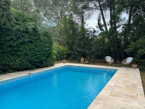 Provençal villa with swimming pool and shaded park